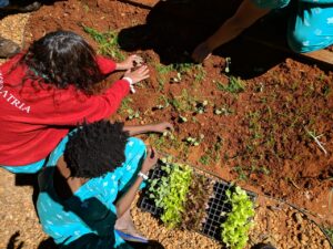 Foto:  Pollyana Cabral/IgesDF