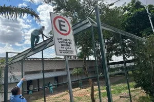 Vídeos mostram pacientes tentando fugir de hospital psiquiátrico do DF