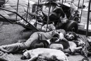 Como as doenças mentais contribuem para o aumento da população de rua no Brasil?