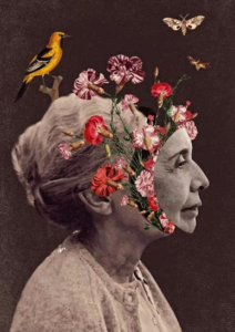 Viva Nise da Silveira !!!!